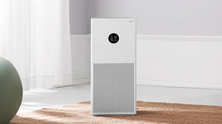 Best Air Purifiers Under Rs. 20,000: 5 Things to Check Before You Buy