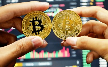 Bitcoin Rises to $103,400 After Sharp Selloff; Altcoins Extend Losses Across Broader Market