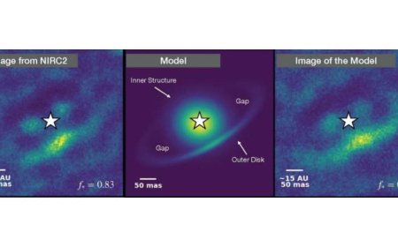 Astronomers Spot Signs of Baby Planets in a Star’s Mysterious Disk