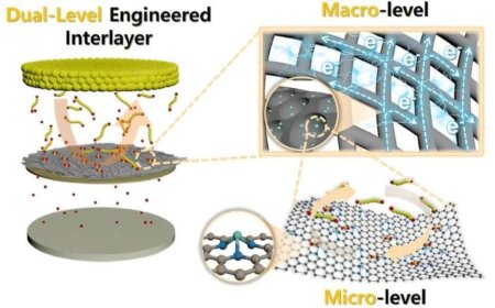 Scientists Develop Two-Level Strategy to Power Next-Gen Lithium–Sulphur Batteries