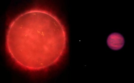 Webb Finds Phosphorus-Bearing Gas in an Ancient Brown Dwarf