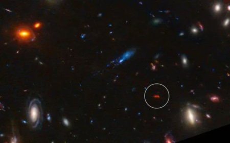 Extreme Star Factory: ALMA Detects Galaxy Y1 Forming Stars 180 Times Faster Than the Milky Way