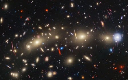 James Webb Space Telescope May Have Spotted the Universe’s First Stars, Astronomers Say