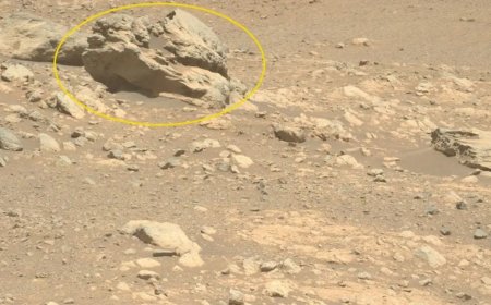 NASA’s Perseverance Rover Finds Metal-Rich Rock on Mars: What You Need to Know