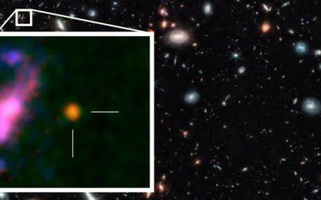 James Webb Telescope May Have Discovered Universe’s Earliest Supermassive Black Hole