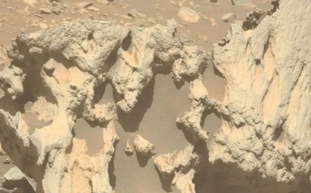 NASA’s Perseverance May Have Found Its First Meteorite on Mars