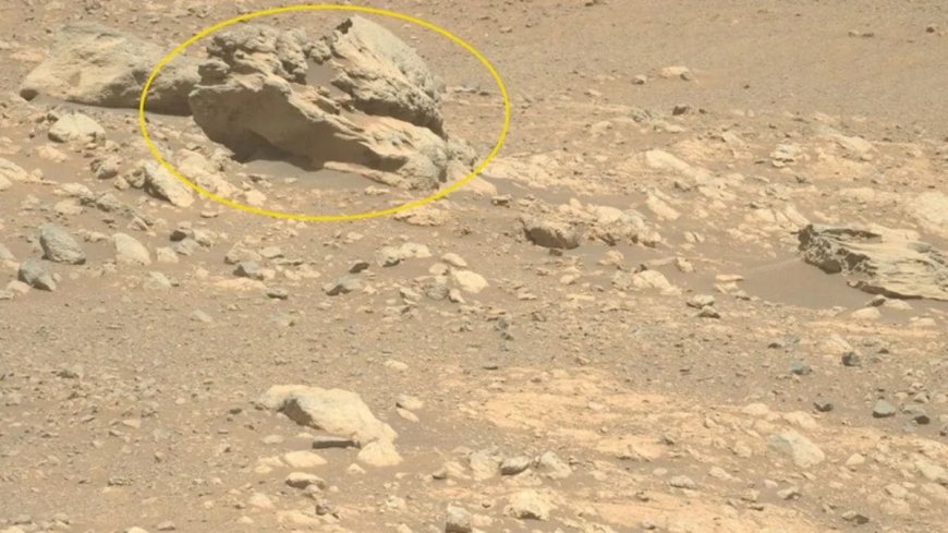 NASA’s Perseverance Rover Finds Metal-Rich Rock on Mars: What You Need to Know