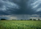 Secret Rain Pattern May Have Driven Long Spells of Dry and Wetter Periods Across Horn of Africa: Study