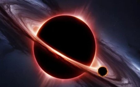 New Gravitational-Wave Signal May Reveal Primordial Black Holes Born After the Big Bang