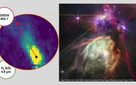 James Webb Space Telescope Finds Unexpected Ultraviolet Radiation Around Young Protostars