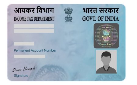 How to Check PAN Card Status Online Using Aadhaar Number, Mobile Number, Name, Date of Birth