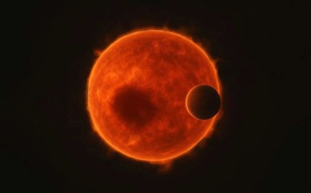 Misaligned Exoplanet Is Challenging How We Think Solar Systems Form