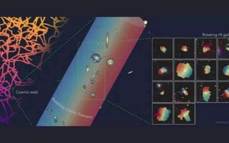 Astronomers Spot Galaxies Moving in Sync Across a 50-Million-Light-Year Stretch