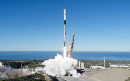 SpaceX Expands Starlink Network With 29-Satellite Falcon 9 Launch
