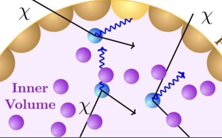 Neutrino Detectors May Unlock the Search for Light Dark Matter, Physicists Say
