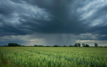 Secret Rain Pattern May Have Driven Long Spells of Dry and Wetter Periods Across Horn of Africa: Study