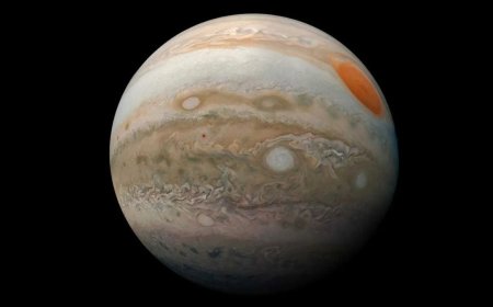 New Orbital Clues Reveal How Hot Jupiters Moved Close to Their Stars