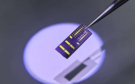 Physicists Push Superconducting Diodes to Higher Temperatures