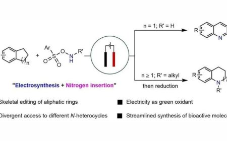 Electricity-Driven Nitrogen Insertion Opens a Sustainable Path to Drug-Ready Heterocycles