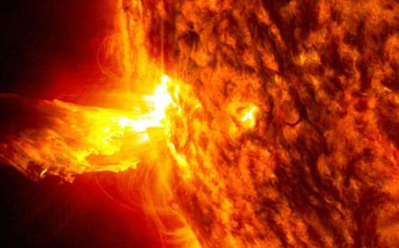 NASA’s PUNCH Watches Comet Lemmon Respond to the Sun’s Powerful Influence