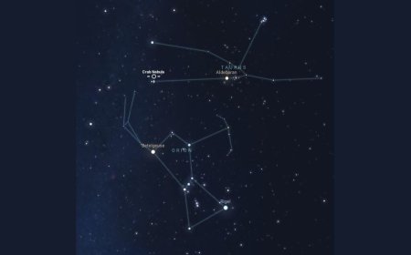 Betelgeuse and the Crab Nebula Reveal Stellar Death and Rebirth in Multi-Telescope Views