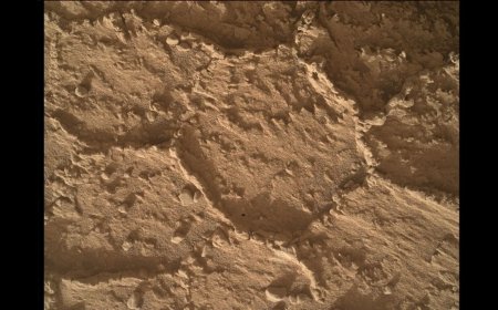 Curiosity Explores Polygon-Covered Rocks in Monte Grande Hollow During Sols 4743-4749