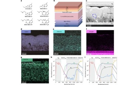 New Ionic Liquid Breaks Stability Barrier for Perovskite Solar Cells