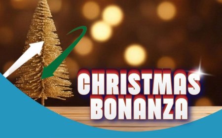 BSNL Christmas Bonanza Plan Announced With 2GB of Daily Data and Unlimited Calls: Price, Benefits