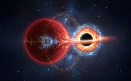 NASA Spots Starquakes in a Red Giant Orbiting One of the Galaxy’s Quietest Black Holes