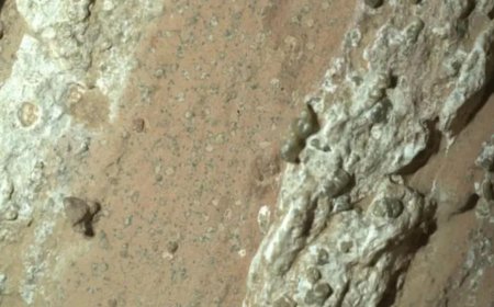 Biggest Space Discoveries in 2025: From New Comets and Black Holes to Sign of Life on Mars