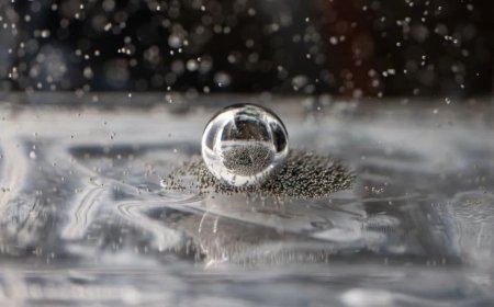 ISS Microgravity Experiment Reveal How Particles Behave Without Gravity