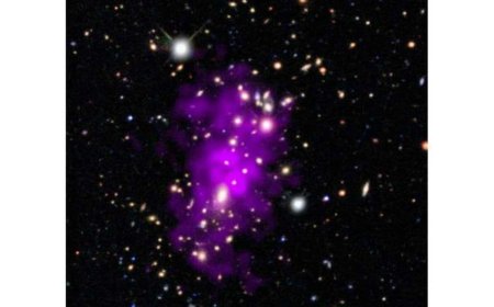 NASA’s Chandra Spots Champagne Cluster Formed by a Massive Galaxy Collision