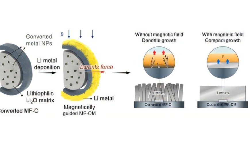 Magnetic Control of Lithium Enables Safer, High-Capacity “Dream Battery” Without Explosion Risk