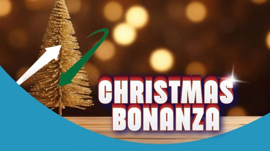 BSNL Christmas Bonanza Plan Announced With 2GB of Daily Data and Unlimited Calls: Price, Benefits