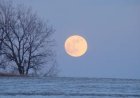 Wolf Moon Supermoon 2026: Rare January Full Moon Near Perihelion Lights Up the Sky