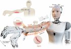 Researchers Develop Neuromorphic ‘E-Skin’ to Give Humanoid Robots Pain Reflexes