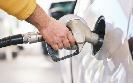 How to Check PUC Validity Of Your Vehicle Online Using Different Methods: A Step-by-Step Guide