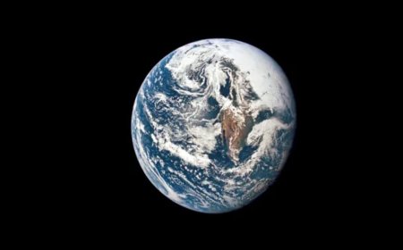 New Experiments Suggest RNA Could Have Formed Naturally, Supporting ‘RNA World’ Origin of Life Theory