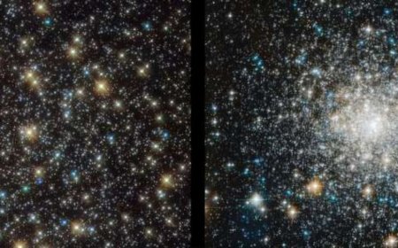 Hubble Reveals How Blue Straggler Stars Stay Young in Ancient Clusters