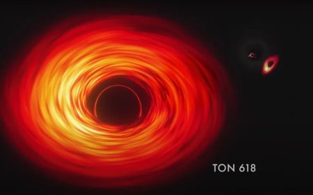 JWST Uncovers the Origins of the Universe’s First Supermassive Black Holes