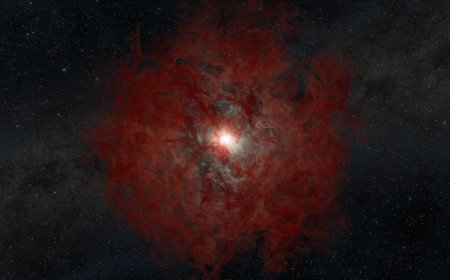 Astronomers Witness Rare Failed Supernova in Andromeda Galaxy