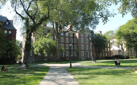 After Affirmative Action: Takeaways—and Puzzles—From College Admissions Data