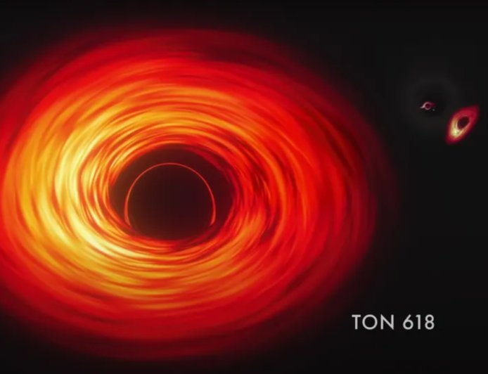 JWST Uncovers the Origins of the Universe’s First Supermassive Black Holes