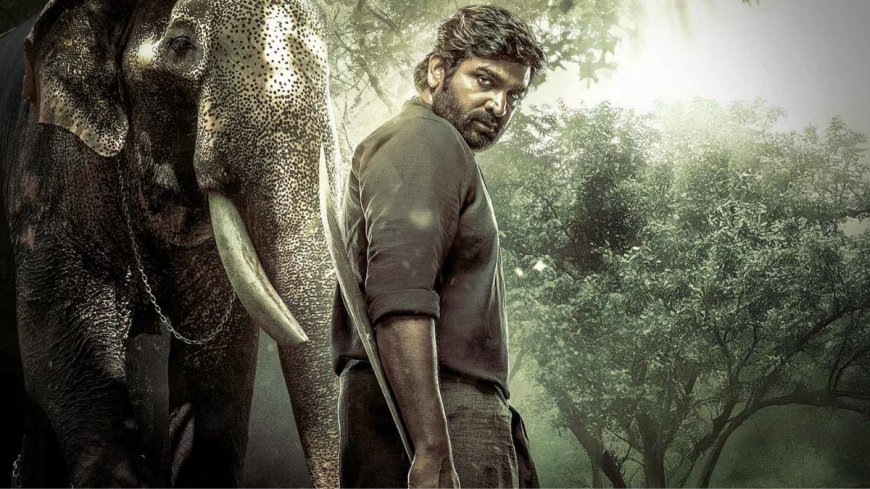 Kaattaan OTT Release Details Revealed: Know When and Where to Watch it Online