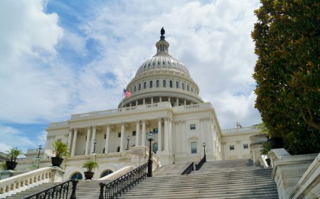 US SEC Drops Fraud Case Against BitClout Founder Nader Al-Naji