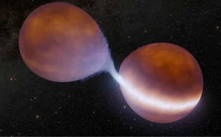 Brown Dwarf Merger Could Create a New Star, Astronomers Discover