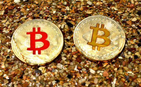 Bitcoin Price Hovers Around $67,000; Analysts Say Price Reflects Consolidation Phase