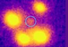 New Einstein Cross Reveals Surprising Galaxy Evolution