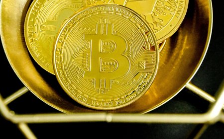 Bitcoin Trades Near $66,500 as Market Holds Steady Amid Mixed Signals