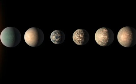 Scientists Identify 45 Earth-Like Planets Beyond Our Solar System